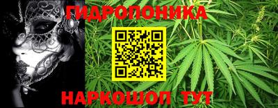 бошки Пушкино