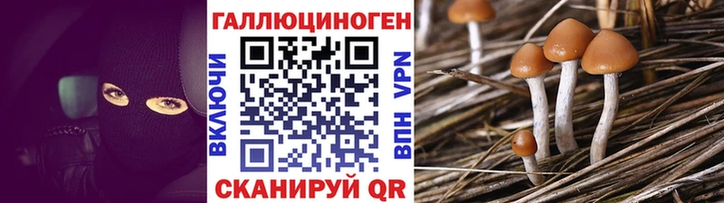 наркота  площадка как зайти  Псилоцибиновые грибы ЛСД  Бутурлиновка 