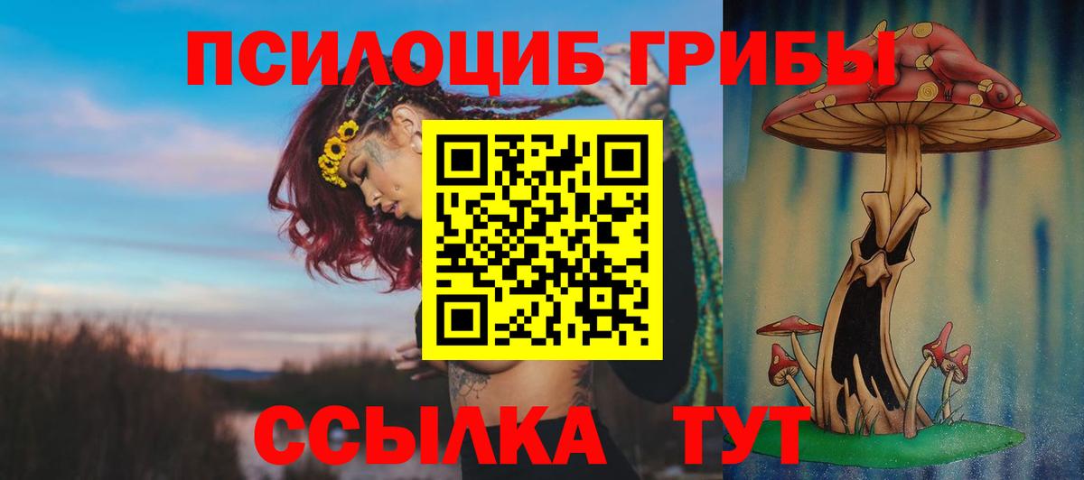 Галлюциногенные грибы мицелий  Вход с VPN  Галлюциногенные грибы ЛСД  Бутурлиновка 