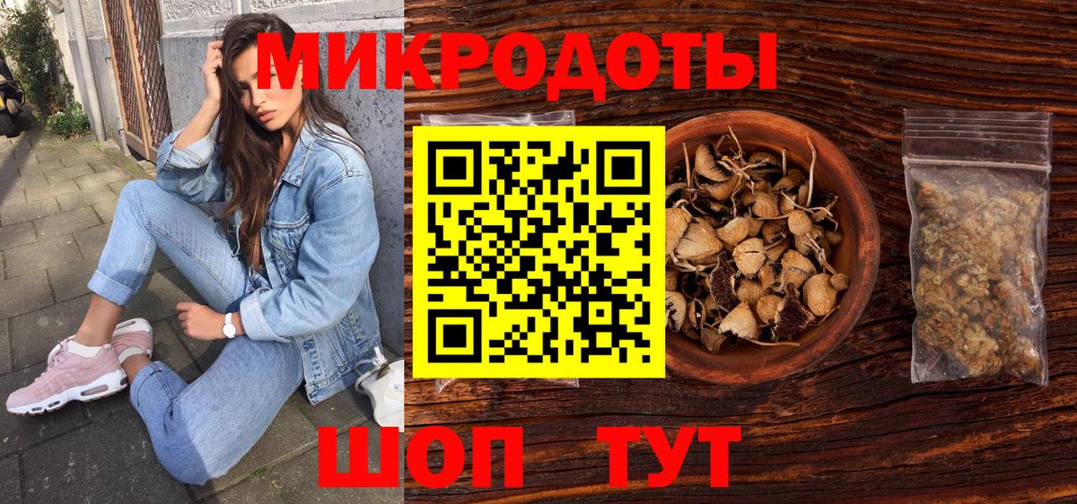 Псилоцибиновые грибы Psilocybe Бутурлиновка